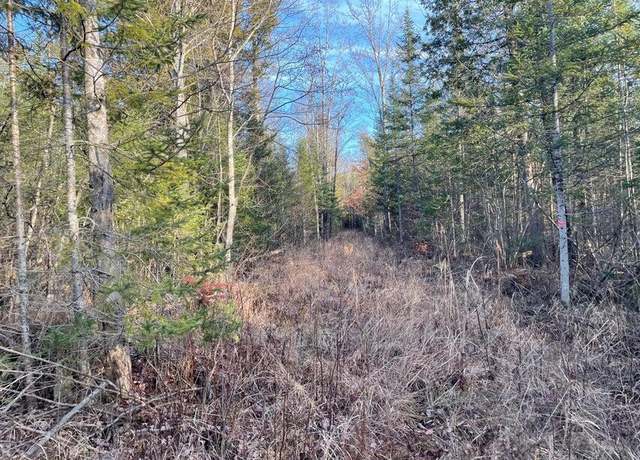 Property at 5AC N Everett Rd, Roscommon, MI 48653