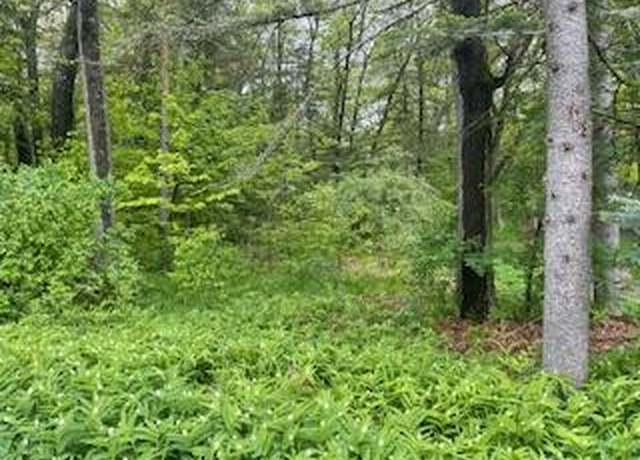 Property at 124 Cadillac Ave Lot 119-120 & 143-144, Houghton Lake, MI 48629