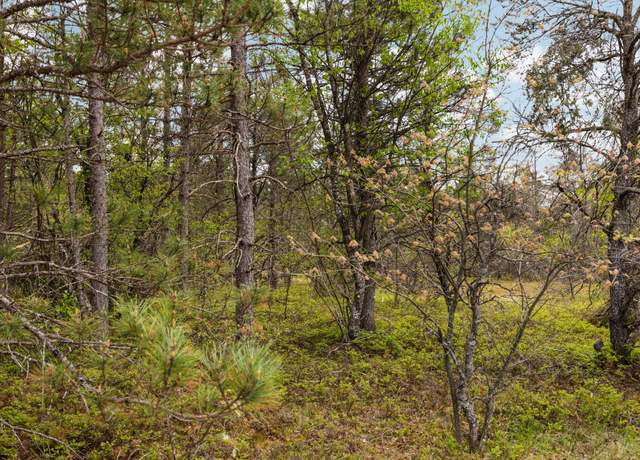 Property at 110 Acres Winding Rd, Lewiston, MI 49756