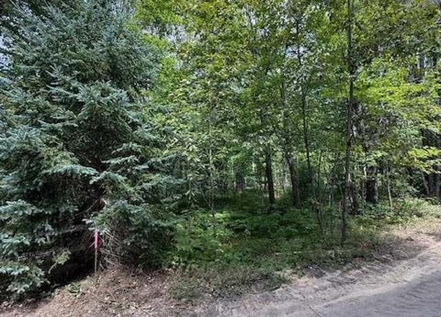 Property at Parcel C Lutz Ln, Grayling, MI 49738