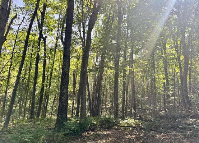 Property at Parcel 1D Deklan Dr, Mio, MI 48647