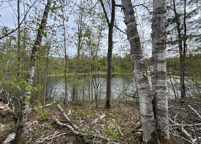Property at Lot 253 Iroquois Trl, Gaylord, MI 49735