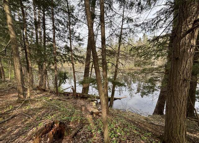 Property at 000 Cree Trl, Gaylord, MI 49735