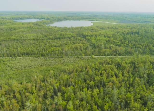 Property at Off Big Cut Hwy Unit (37 Acres), Millersburg, MI 49759