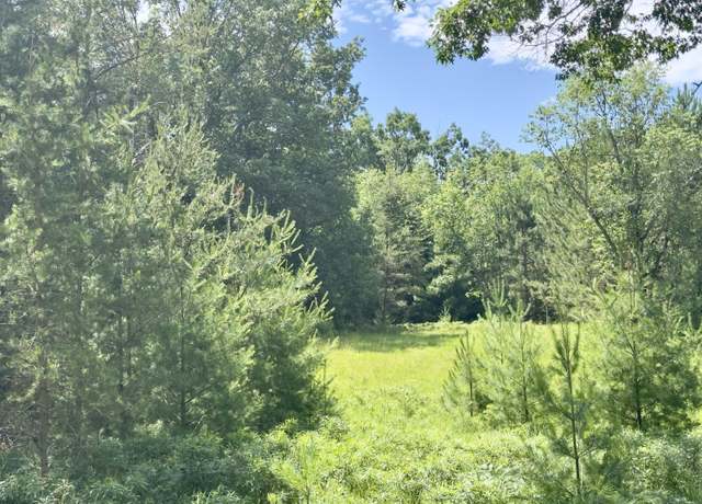 Property at 3869 W Pinewood Dr, Roscommon, MI 48653