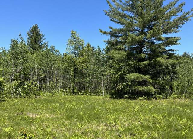 Property at Lot 11 Metzgar Rd, Kalkaska, MI 49646