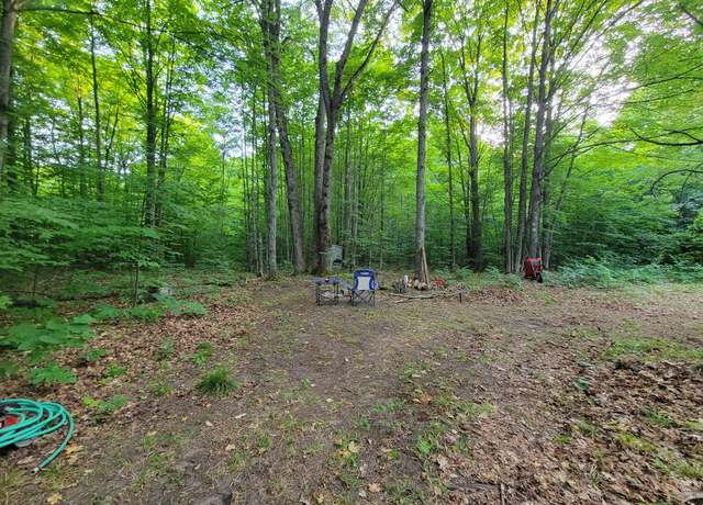 Property at 5 Acres N Valley Rd, Frederic, MI 49733
