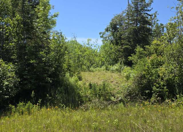 Property at 3 acres US 23 N, Ocqueoc, MI 49759