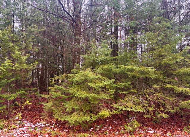 Property at 62 & 63 Belfair Dr, Presque Isle, MI 49777