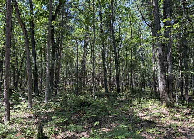 Property at 6287 Waubun Rd, Indian River, MI 49749