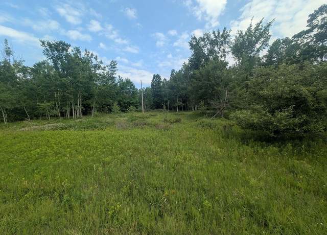 Property at W Long Lake Rd, Alpena, MI 49707