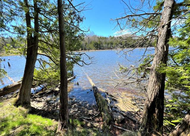 Property at Off River Edge Dr Unit Parcel 12, Cheboygan, MI 49721