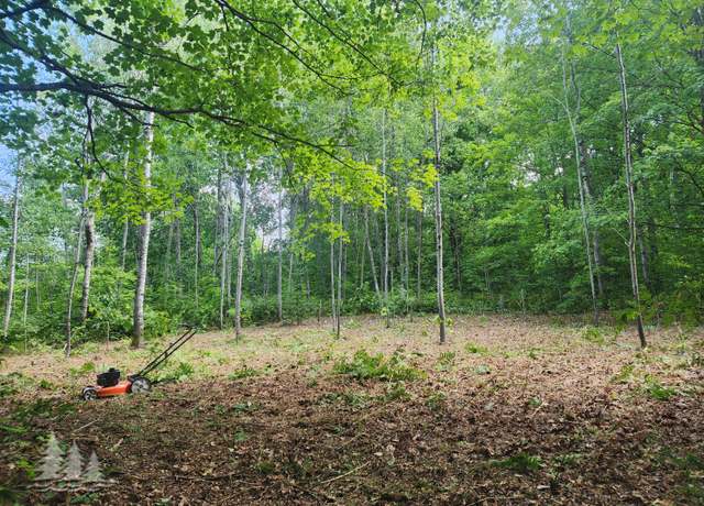 Property at L17, 35-38 Wayland & Donnybrook Dr, Frederic, MI 49733