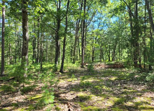 Property at Lot173/174 Clay Banks Rd, Rogers City, MI 49779