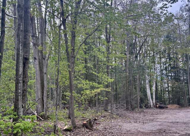 Property at Lot 14 Brownwood Rd, Gaylord, MI 49735