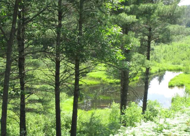 Property at 14796 E Shore Line Dr, Wolverine, MI 49799