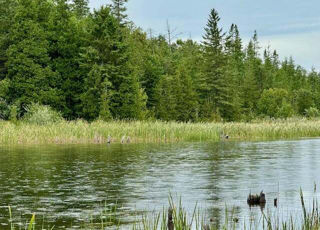 Property at Lot 10 Mograin, Cheboygan, MI 49721