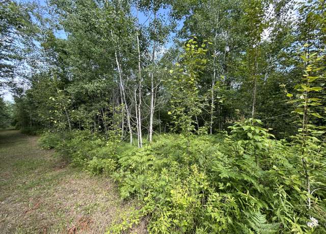 Property at Emils Landing Rd, Hillman, MI 49746