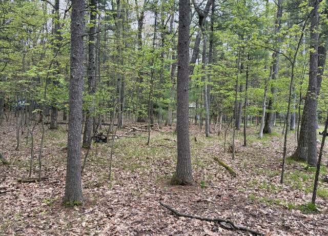 Property at Sweet Fern Ln, Roscommon, MI 48653
