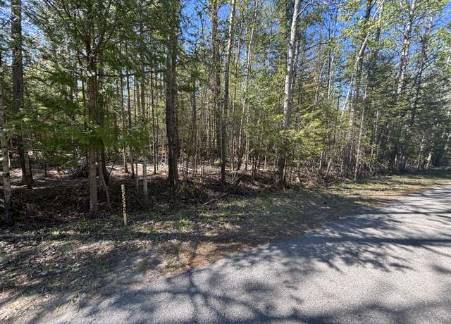 Property at 16905 E Norwood Ct, Presque Isle, MI 49777