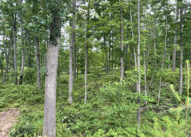 Property at 10 Acres School Rd, Roscommon, MI 48653