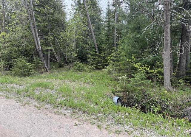 Property at W M-68, Alanson, MI 49706