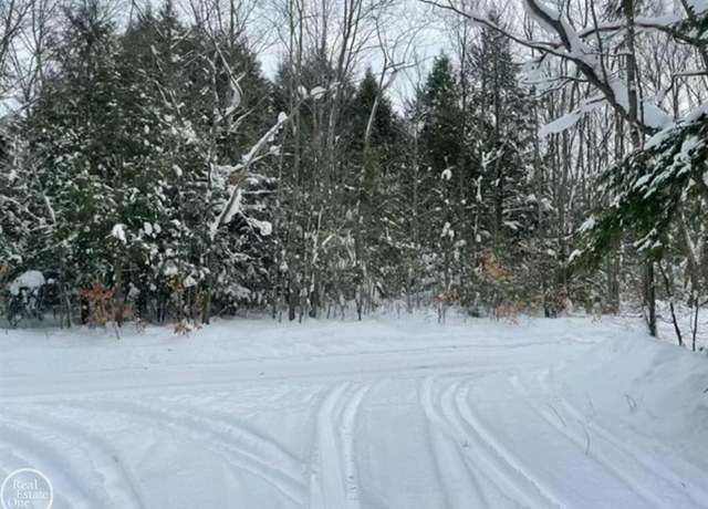 Property at VL Kenyon Trl, Frederic, MI 49733