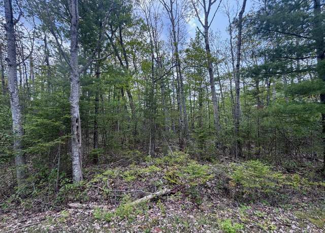 Property at Northland Heights Dr, Presque Isle, MI 49777