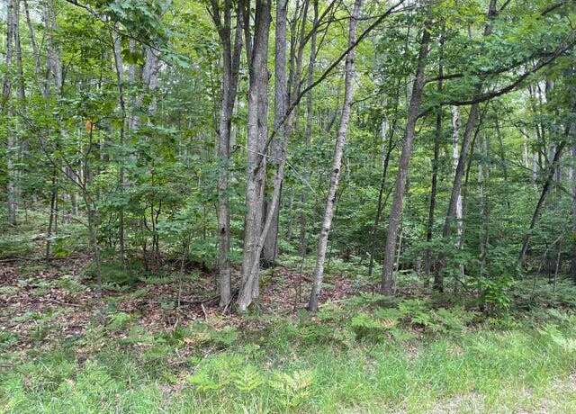 Property at 106 Locksley Dr, Frederic, MI 49733