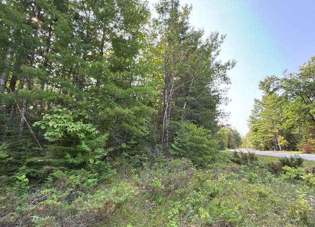 Property at Lot 345 Kauffman Rd, Presque Isle, MI 49777
