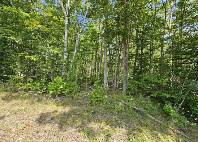 Property at NHN Rayburn Hwy, Presque Isle, MI 49777