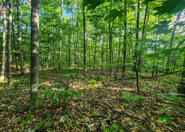 Property at 14209 Straitsview Dr, Cheboygan, MI 49721