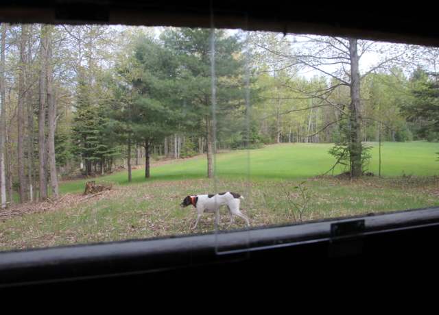 Property at Hall Rd, Atlanta, MI 49709
