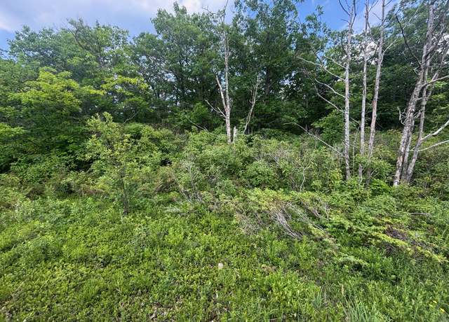 Property at NHN Highland Pines Rd, Presque Isle, MI 49777