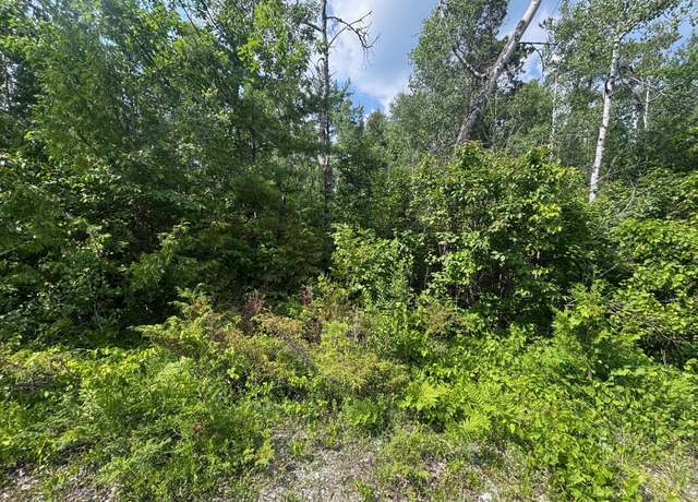 Property at NHN Cedar Ter, Presque Isle, MI 49777