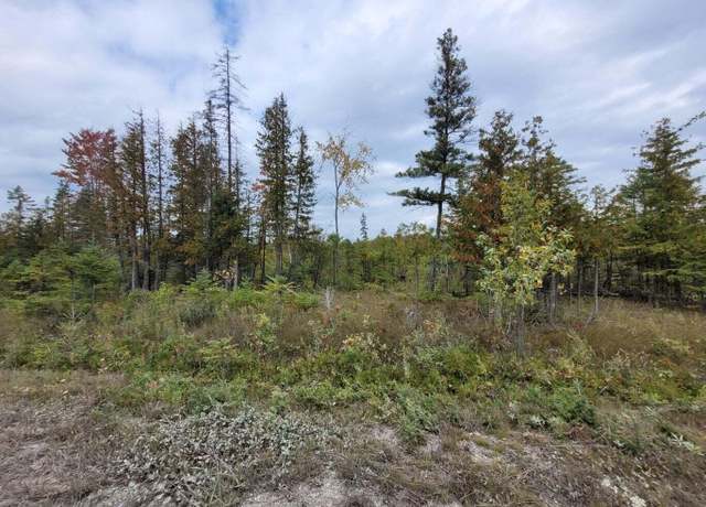 Property at M-68 Hwy And Airport Rd, Rogers City, MI 49779