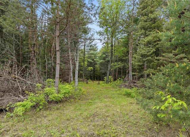 Property at V/L 2.5AC Sleepy Hollow Ln, Inland Township, MI 49643