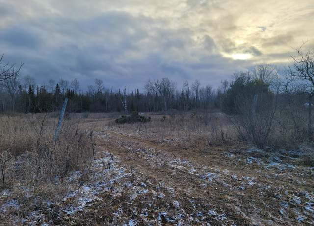 Property at N Palmer Rd Unit 10 acres, Onaway, MI 49765