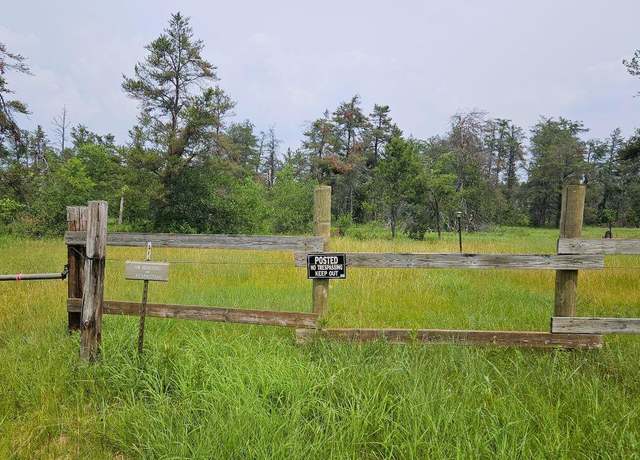 Property at 000 Witte Trl, Lovells, MI 49738