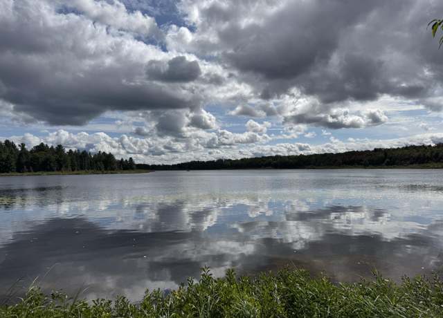 Property at Lot 29 W Birch Shrs, Trout Lake, MI 49793