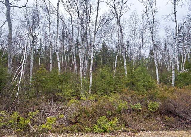 Property at Wilderness Dr, Presque Isle, MI 49777