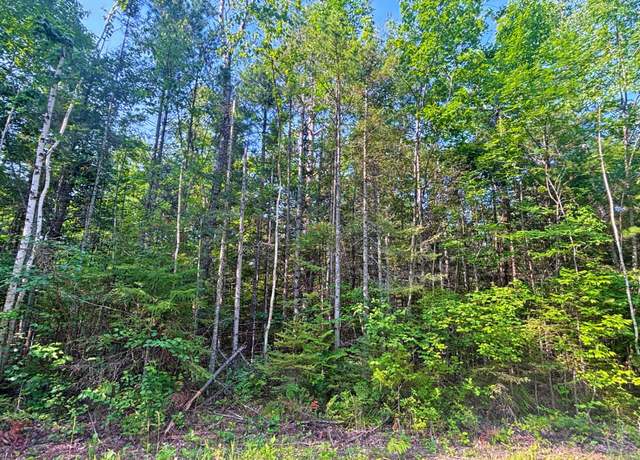 Property at 342 & 343 Northland Heights Dr, Presque Isle, MI 49777