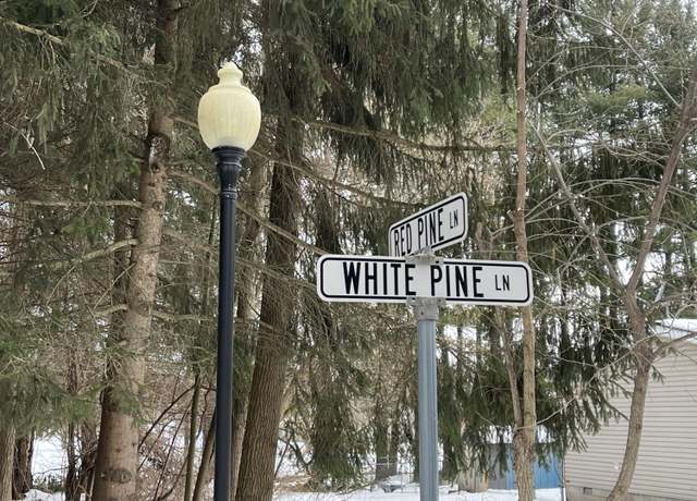 Property at Lot 16 White Pine Ln, Croswell, MI 48422