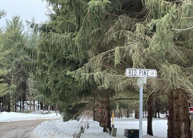 Property at Lot 18 White Pine Ln, Croswell, MI 48422