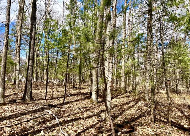 Property at Dick Lots 5, 6, 7, 28, 29,30, Blk 4 St, Topinabee, MI 49791