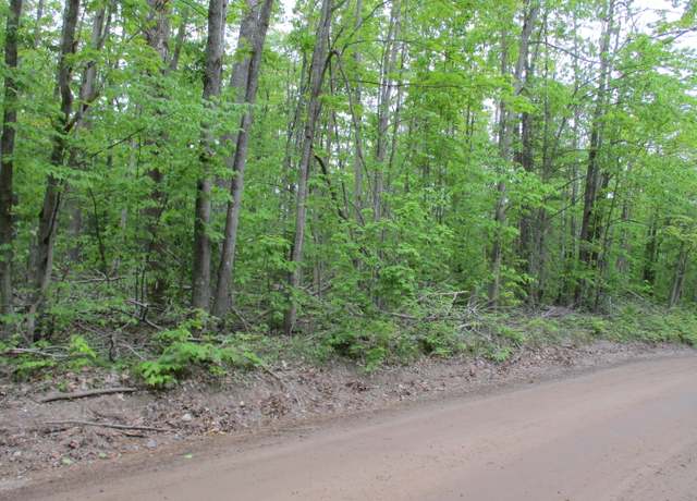 Property at 000 Lutz Rd Unit 6.63 Acres, Atlanta, MI 49709