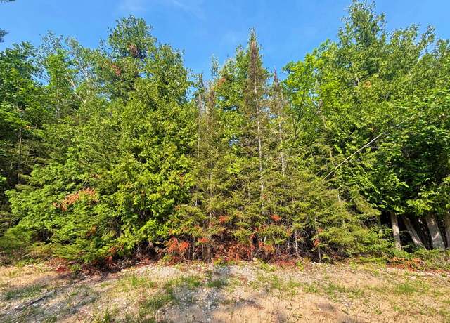 Property at 395 & 396 Balsam Dr, Presque Isle, MI 49777