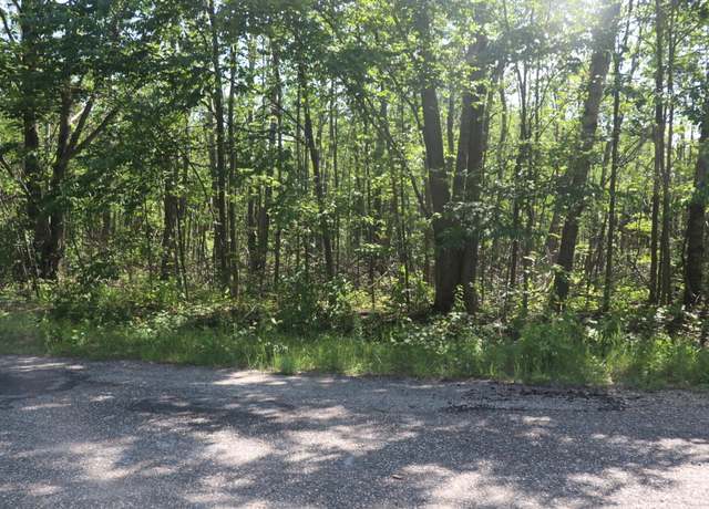 Property at Laming Cir, Elmira, MI 49730