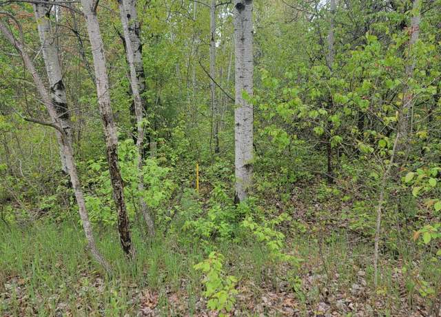 Property at LOT #42 E Roberta Dr, Roscommon, MI 48653
