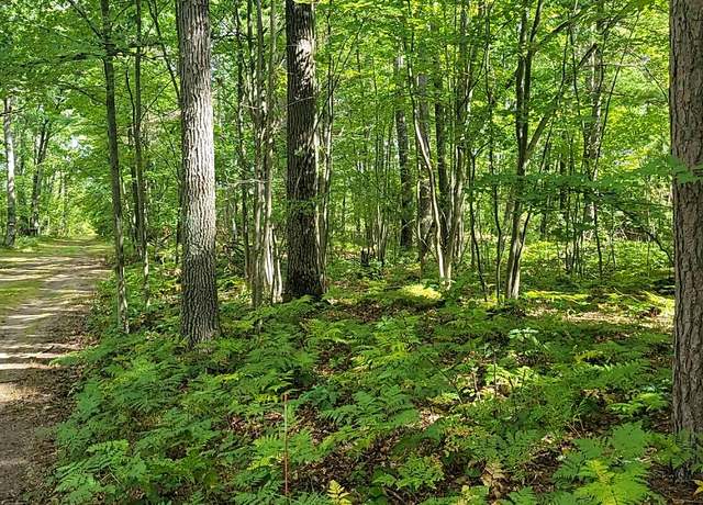 Property at V/L 10AC Killeen Trl, Grayling, MI 49738